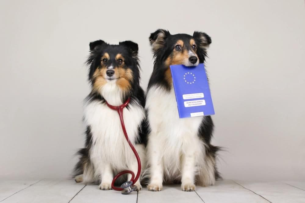 Vorsorgeuntersuchung Symbolbild